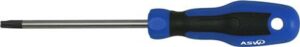 Sol torx schroevendraaier t30x100