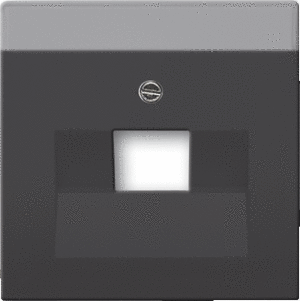 Busch-Jaeger Future Linear Internet 1V Centraalplaat Mat Zwart