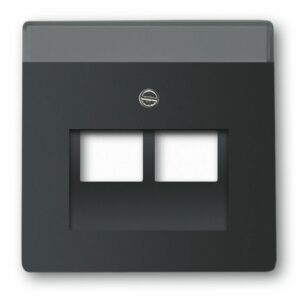 Busch-Jaeger Future Linear Internet 2V Centraalplaat Mat Zwart
