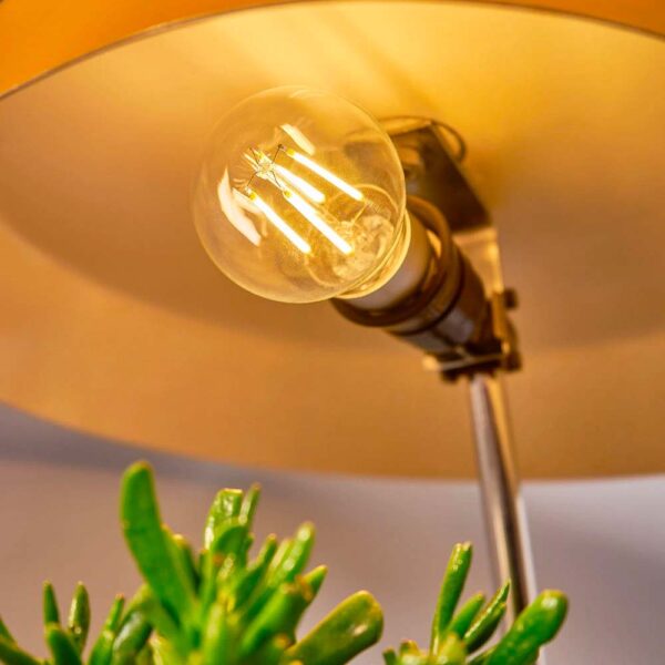 Shelly Bulb E27 Vintage A60 - S-BuEVA60 - Afbeelding 3