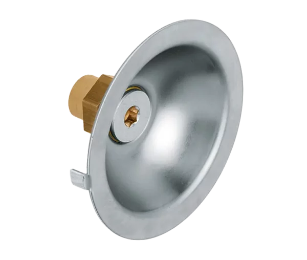 Bonfix RVS Gevelkom 1/2" bi.dr. x 15 mm