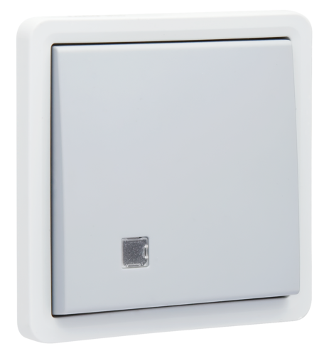 Niko Hydro Wd Controleschakelaar 2P 10A - Insteek Grijs