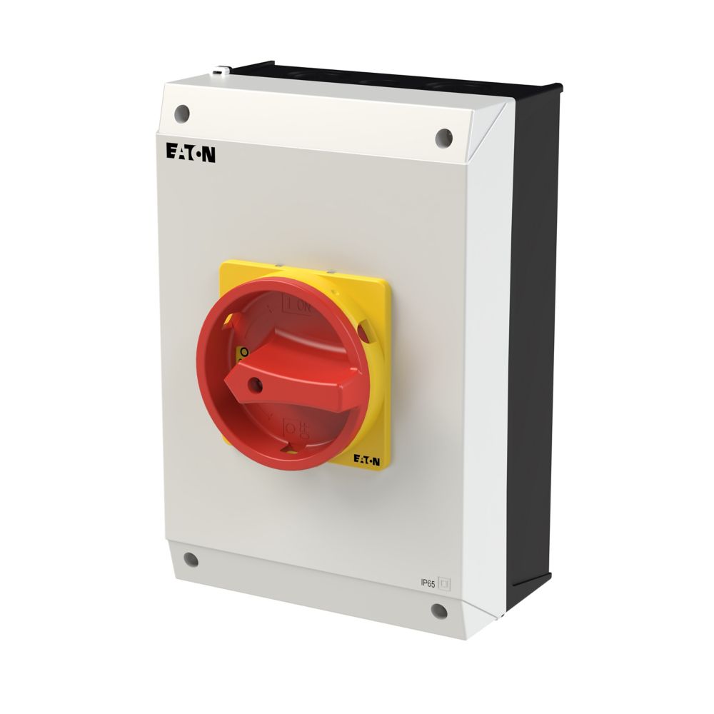 Eaton Werkschakelaar 63A 3P + N Opbouw Front: Ip65 - Afbeelding 12
