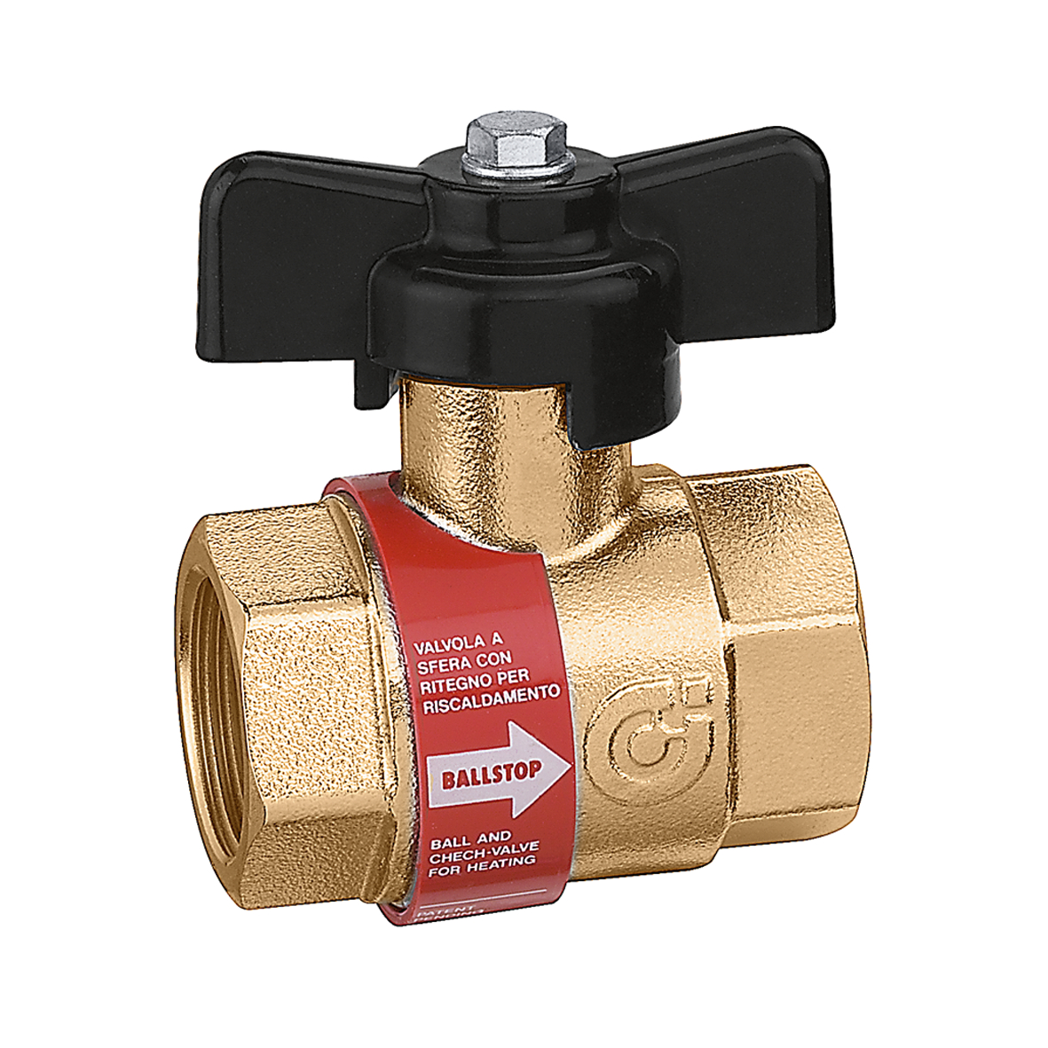 Caleffi Kogelafsluiter Met Ingebouwde Keerklep 2"
