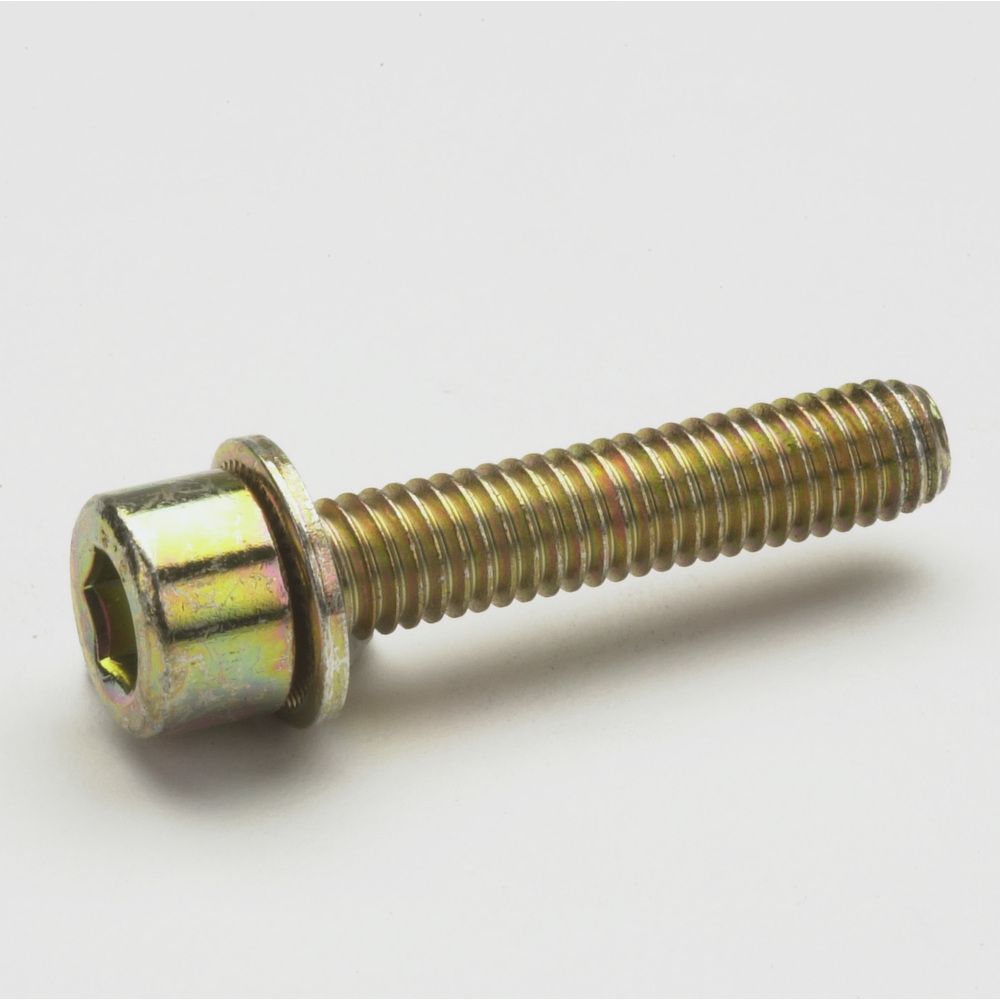 Eaton Binnenzeskantschroef M6 X 50 - Afbeelding 2